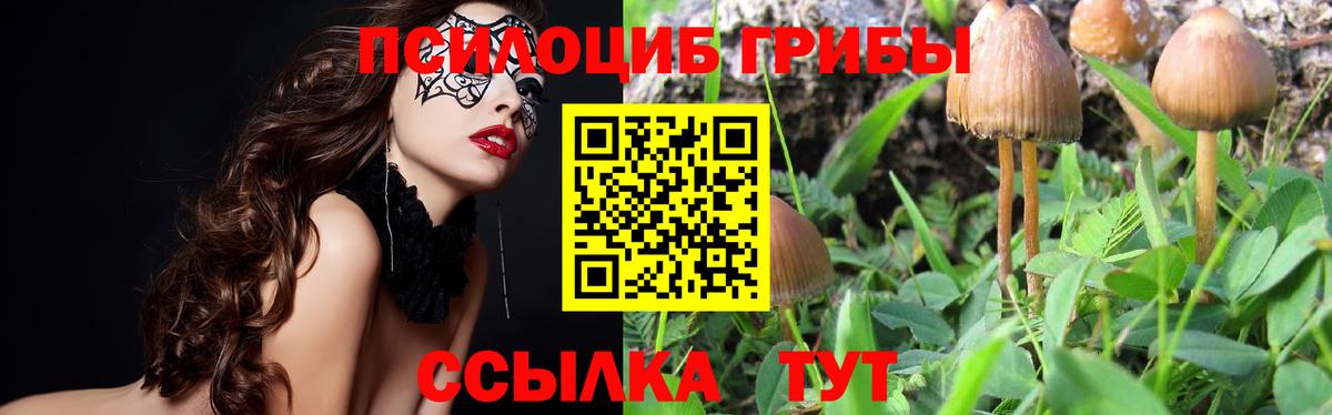 Галлюциногенные грибы Magic Shrooms  Вход с VPN  Старая Купавна  Псилоцибиновые грибы прущие грибы 