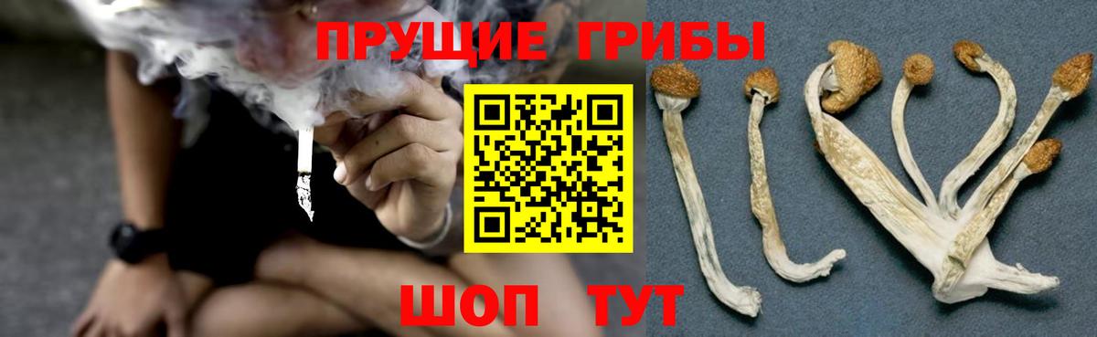 Псилоцибиновые грибы прущие грибы Старая Купавна